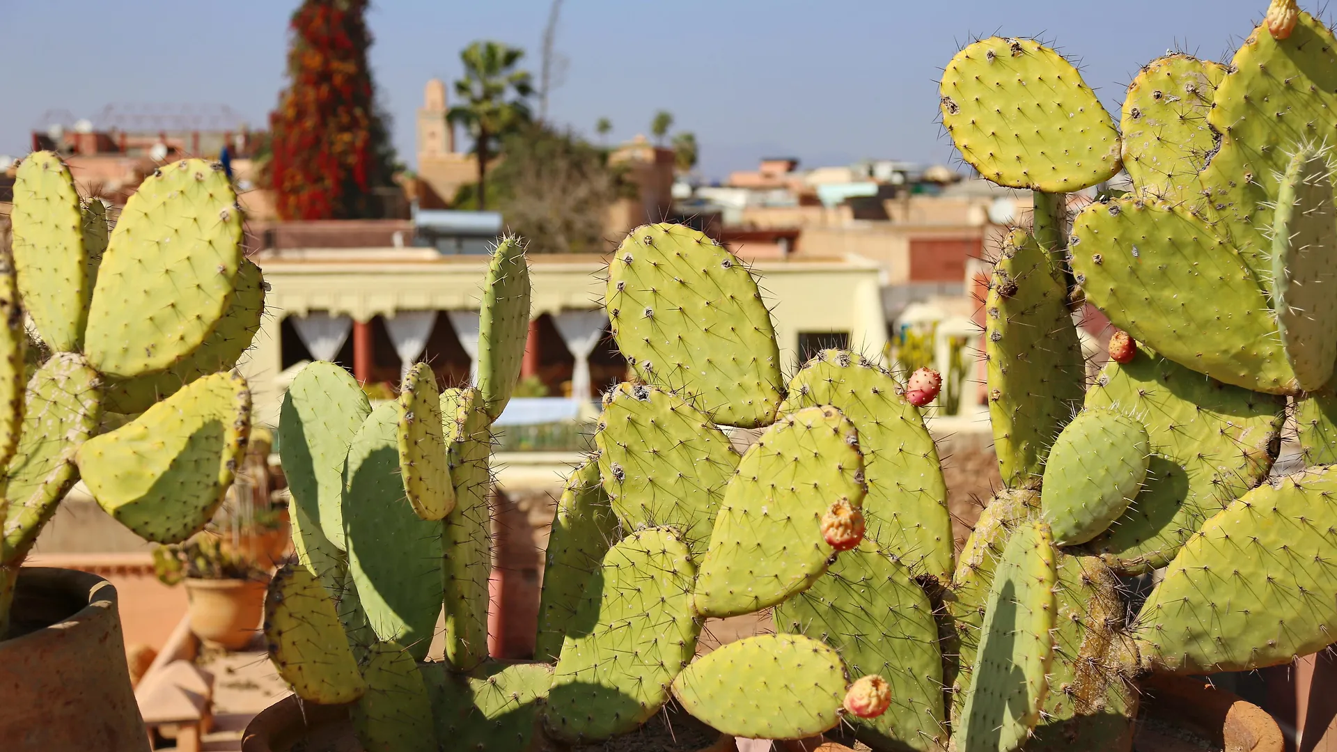 Riad Marrakiss Hotel Marrakesh