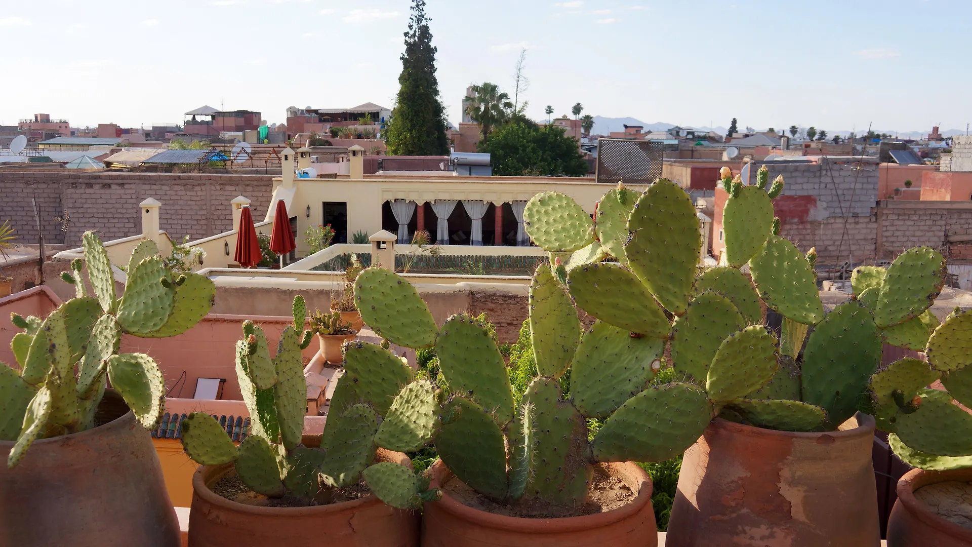 Riad Marrakiss Hotel Marrakesh